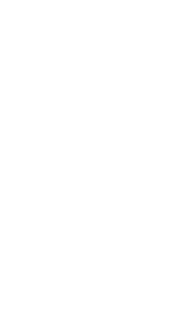 명예효학박사이고 한문교육학박사인 저자 박재성(朴在成)은 국문학자였던 부친 박홍원(조선대학교 국문학교수 후 명예교수) 박사로부터 물려받은 만여 권의 국문학관련 장서 중 훈민정음해례본, 석보상절, 용비어천가 영인본 고서 및 사진 등 귀한 자료들을 발견하게 되면서 연구에 몰입하게 된다. 몇 해 전 최고의 문자로 인정받는 훈민정음을 기념하는 탑이 국내외에 없다는 사실을 안타까워하는 각계각층의 저명한 인사들과 함께 『훈민정음탑건립조직위원회』를 발족하고 상임조직위원장에 추대되었다. 이어서 문화체육관광부 소관 『사단법인 훈민정음기념사업회』를 설립하고「훈민정음해설사」, 「훈민정음연구사」, 「훈민정음과거시험」 등의 민간자격을 시행하고 있다. 그리고 한문으로 쓰인 「훈민정음해례본」과 「세종실록」의 해당 내용이 차이가 있다는 점을 발견하면서 한문학자의 관점에서 풀이한 《세종어제훈민정음총록》을 출간하였다. 더불어 훈민정음 창제와 관련된 세종실록의 내용을 쉽게 알리기 위한 소설집 《소설로 만나는 세종실록 속 훈민정음》을 발간하게 된다.
